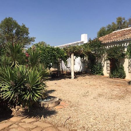 Casa Rural La Navarra Villarrobledo Ngoại thất bức ảnh