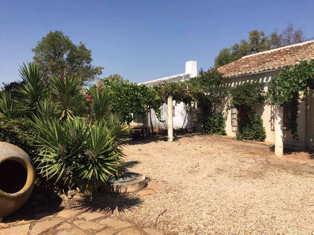 Casa Rural La Navarra Villarrobledo Ngoại thất bức ảnh